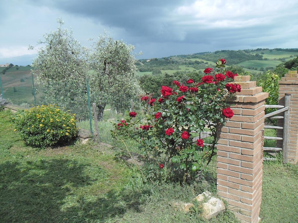 Villa Poggio Petrella Manciano Exterior foto