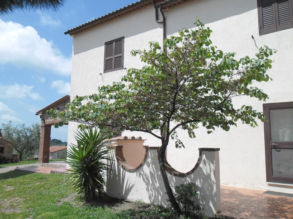 Villa Poggio Petrella Manciano Exterior foto